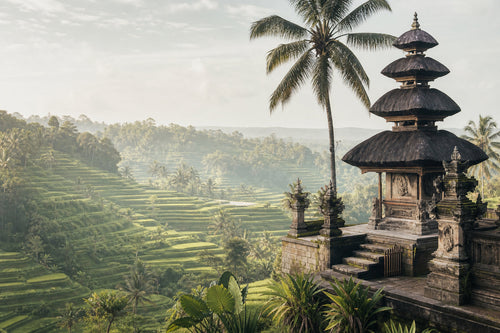 Travel Guide