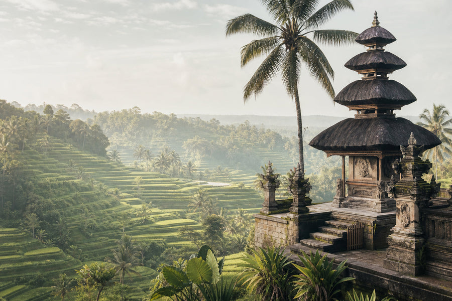 Bali Travel Guide