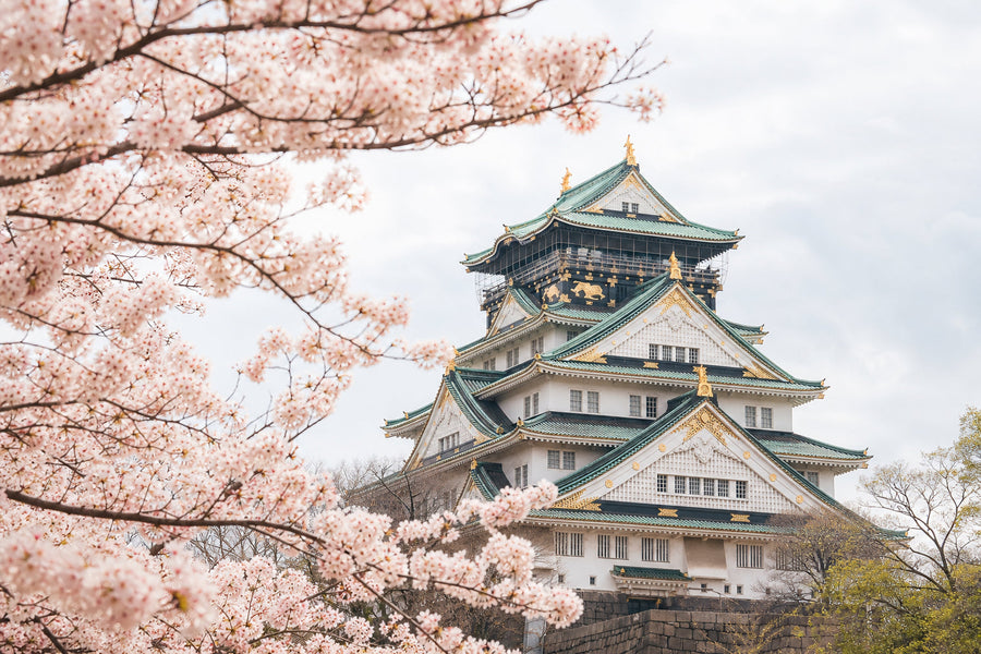 Osaka Travel Guide